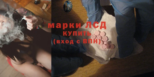 индика Ладушкин