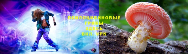 шишки Алзамай