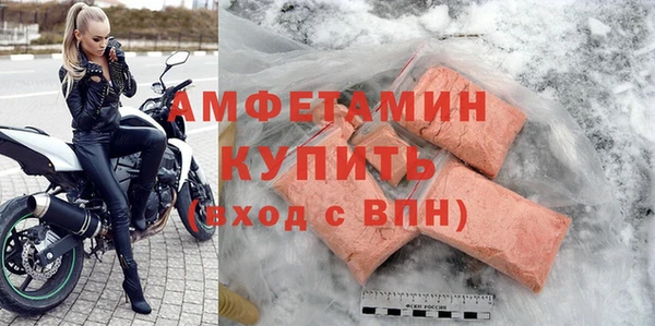 шишки Алзамай