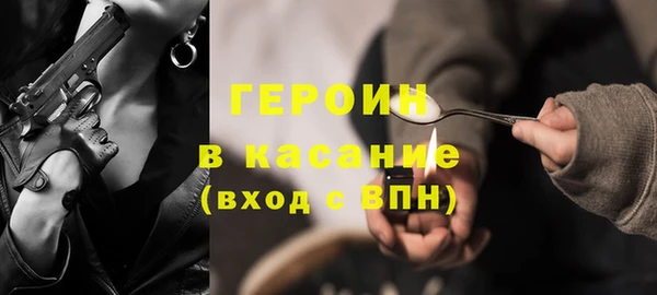 индика Ладушкин