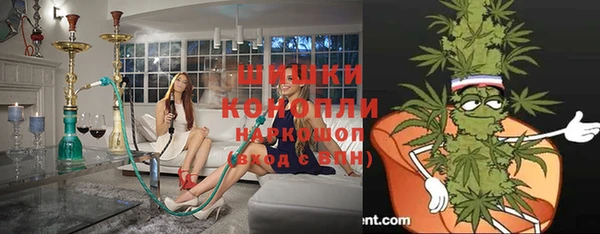 индика Ладушкин