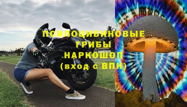 шишки Алзамай