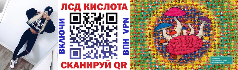 MEGA как войти  хочу   Новошахтинск  Марки N-bome 1500мкг 