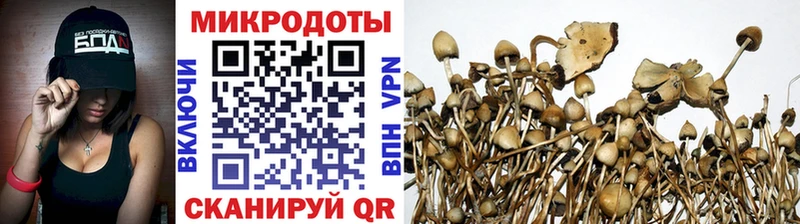 Псилоцибиновые грибы Magic Shrooms  купить наркотики цена  Новошахтинск 